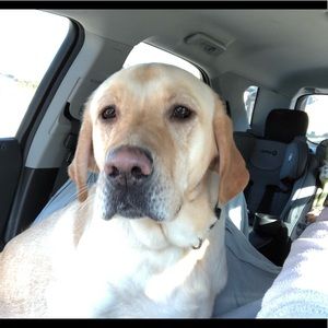 Meet your Posher, Courtney